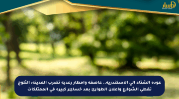 عودة الشتاء إلى الإسكندرية.. عاصفة وأمطار رعدية تضرب المدينة، الثلوج تغطي الشوارع وإعلان الطوارئ بعد خسائر كبيرة في الممتلكات